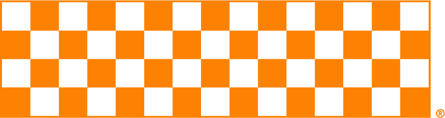 Tennessee Volunteers 2015-Pres Secondary Logo v2 diy DTF decal sticker